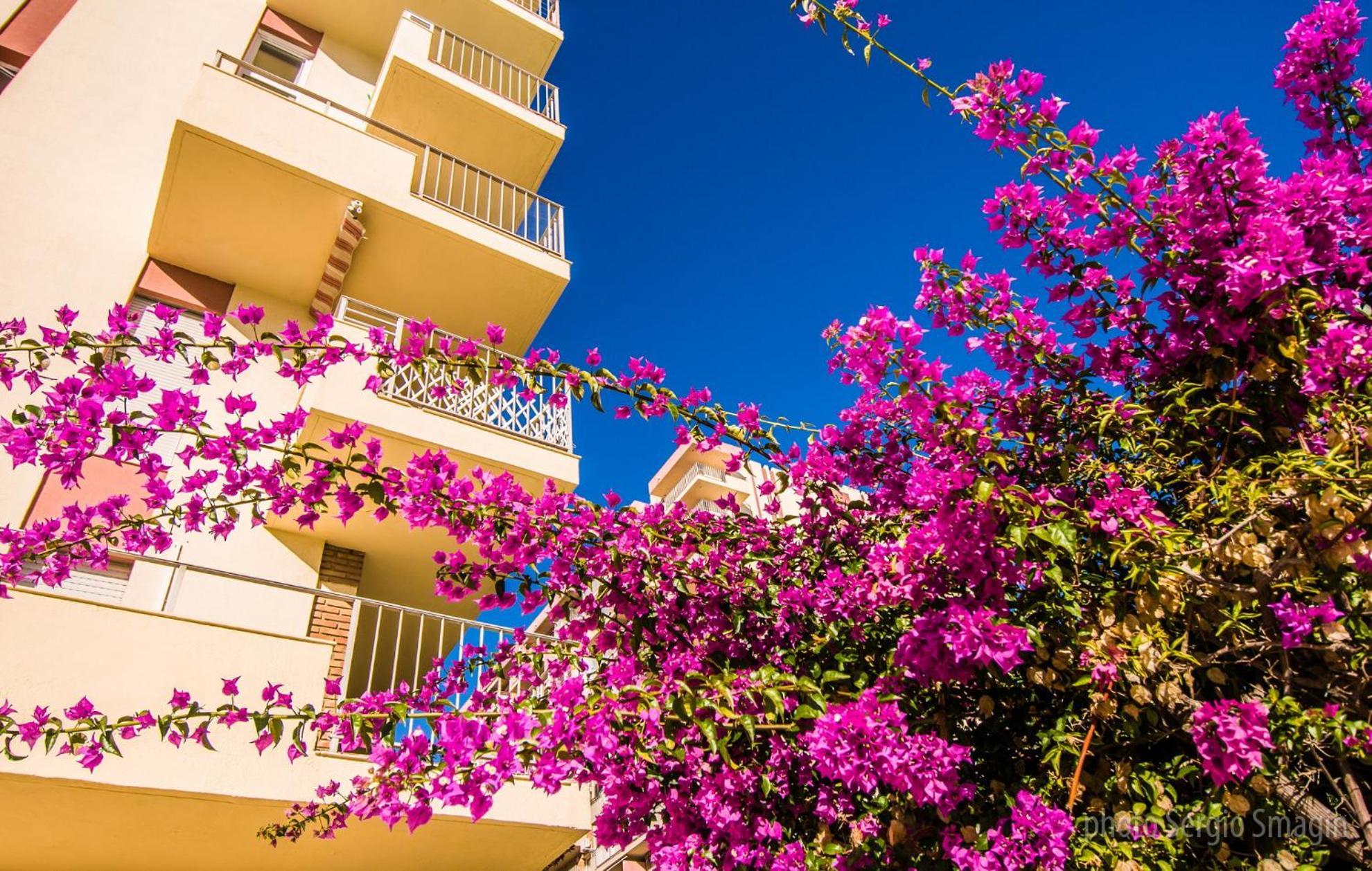 426 Estudio En Minerva Apartamentos - Vista Al Jardin - Piscina Y Playa 贝纳尔马德纳 外观 照片
