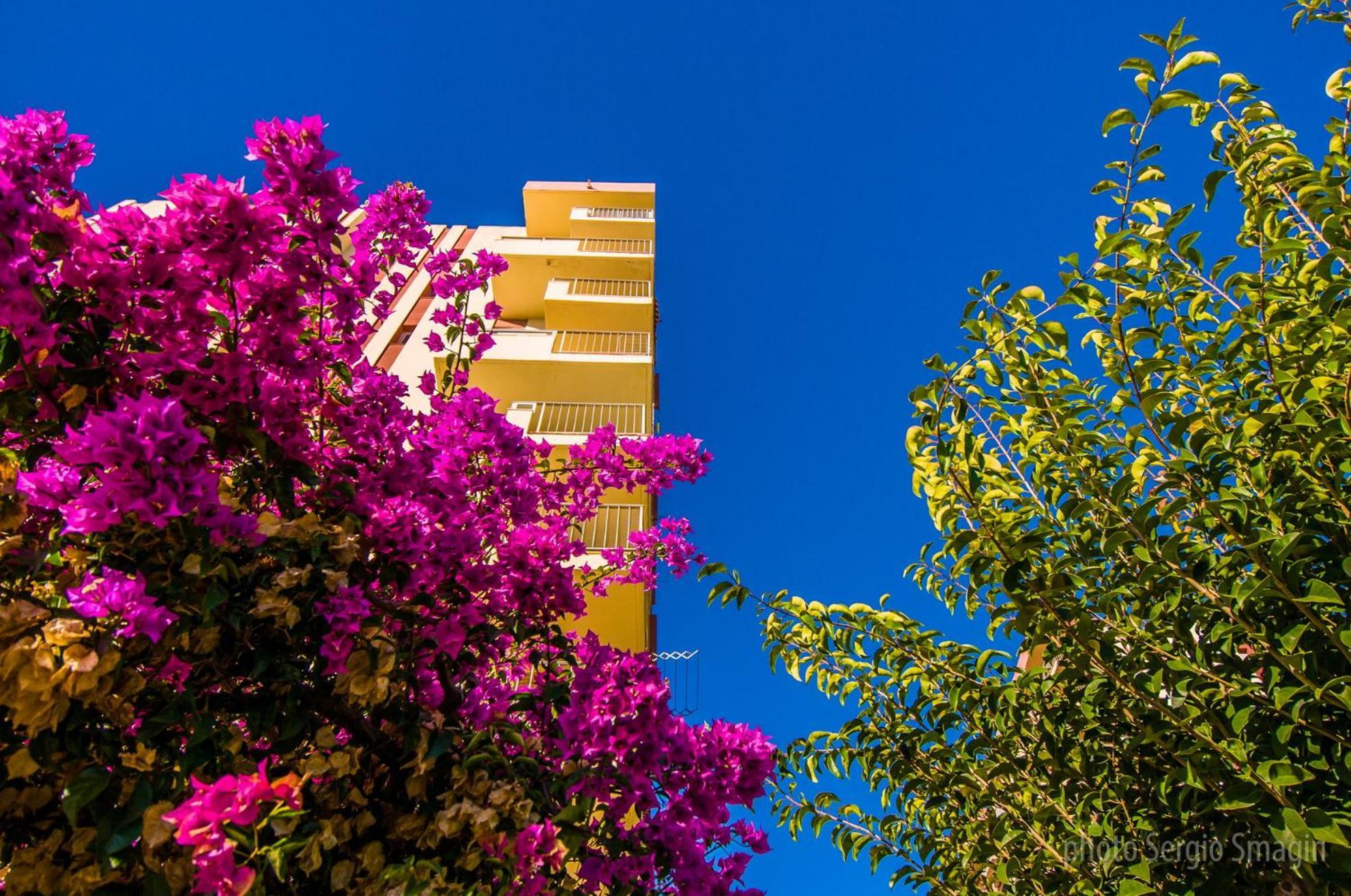 426 Estudio En Minerva Apartamentos - Vista Al Jardin - Piscina Y Playa 贝纳尔马德纳 外观 照片