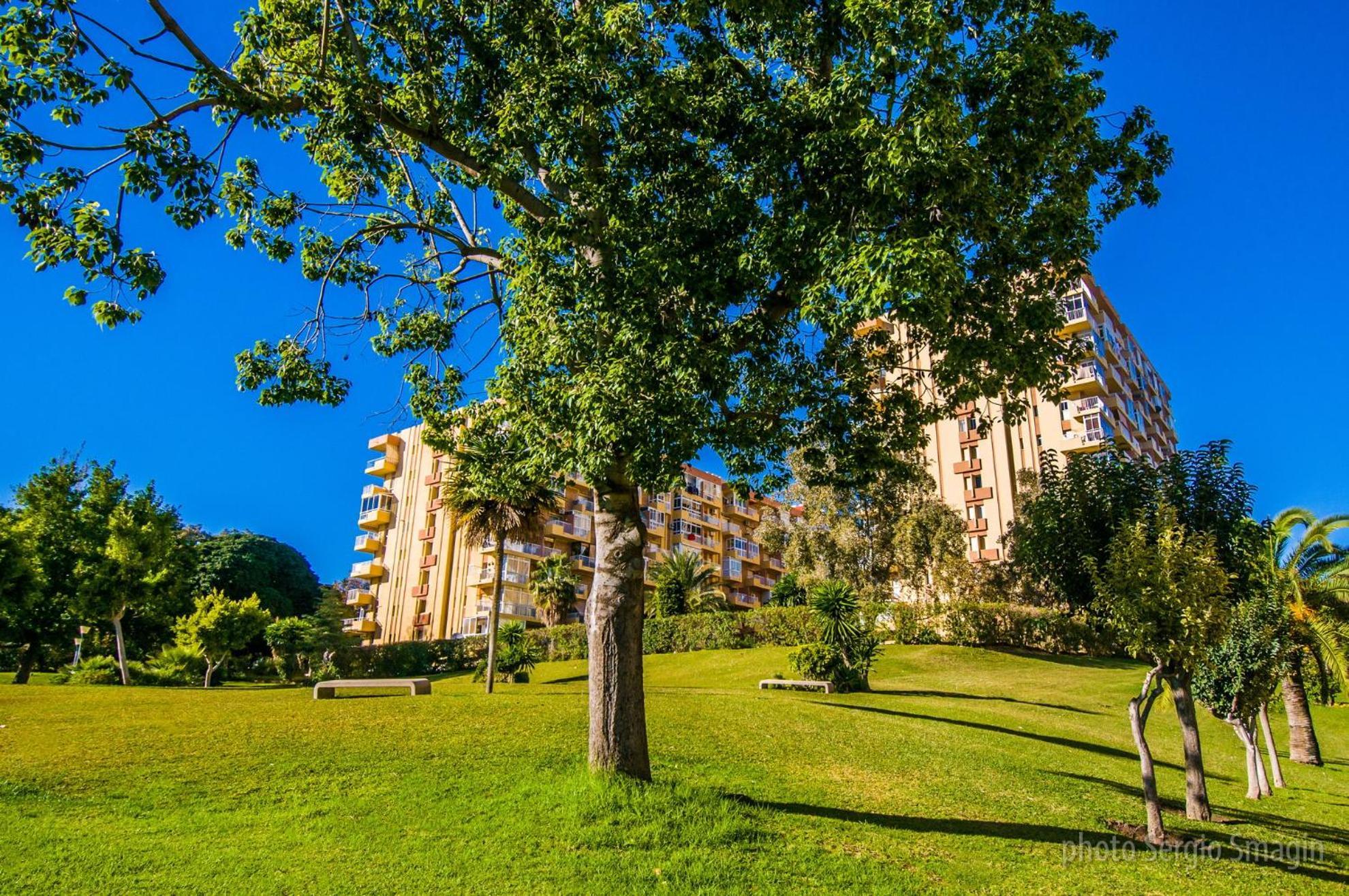 426 Estudio En Minerva Apartamentos - Vista Al Jardin - Piscina Y Playa 贝纳尔马德纳 外观 照片